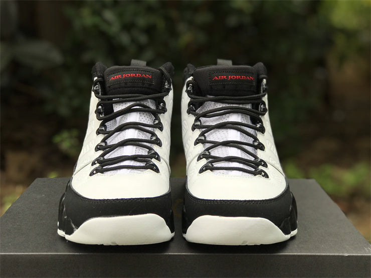 Air Jordan 9 retro “Space Jam”