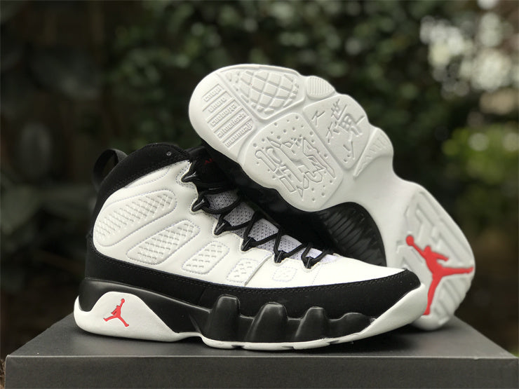 Air Jordan 9 retro “Space Jam”