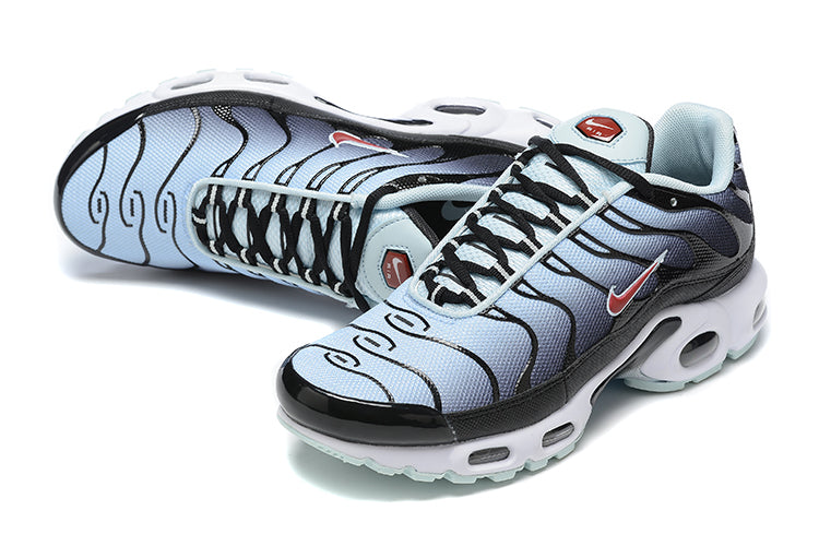 Nike Air Max Plus
Blue Tint Rugged Orange (GS)