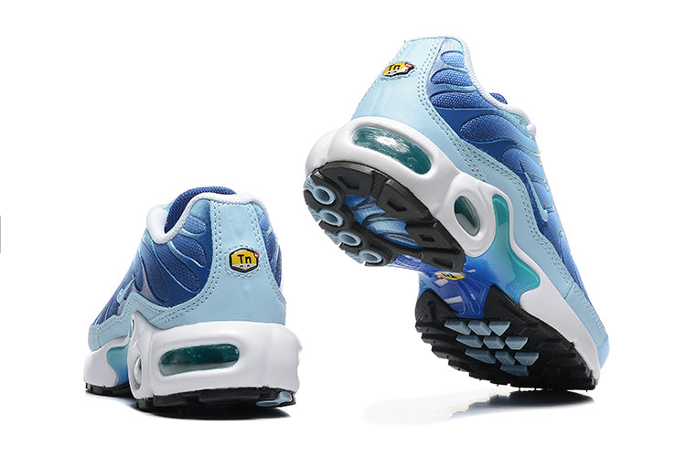 Nike Air Max Plus
First Use University Blue