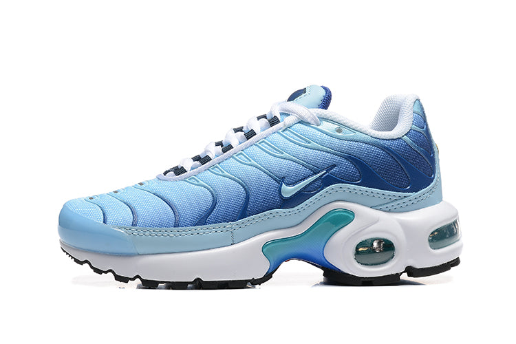 Nike Air Max Plus
First Use University Blue