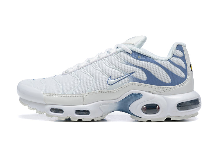 Nike Air Max Plus
Ashen Slate