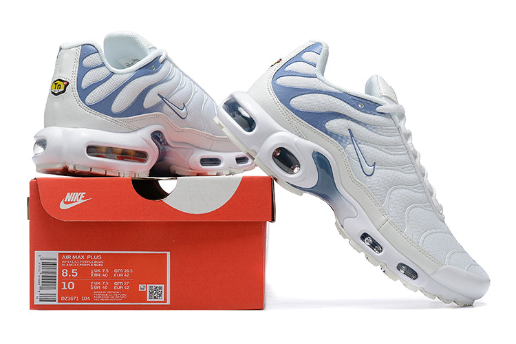 Nike Air Max Plus
Ashen Slate