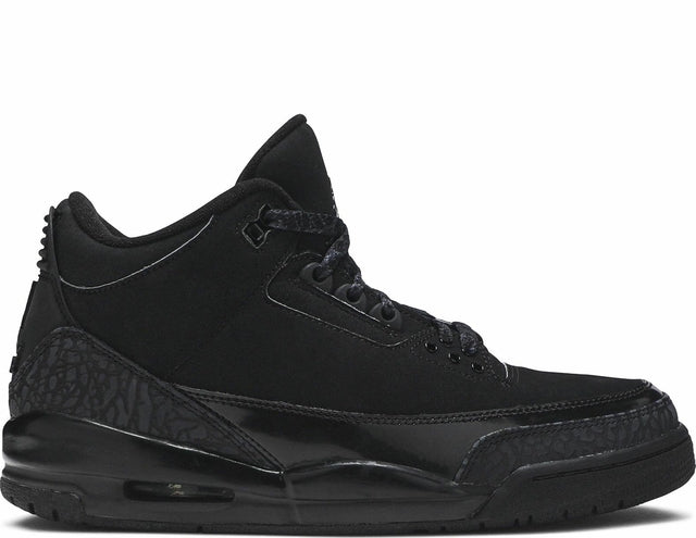 Air Jordan 3 Black Cat 2025