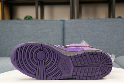 Nike SB Dunk Low Concepts Purple Lobster