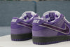 Nike SB Dunk Low Concepts Purple Lobster